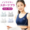 スポーツブラ ブラジャー ジュニア ノンワイヤー 女子 楽天 ファーストブラ スポブラ ハーフトップ ジュニアブラ 下着 肌着 揺れない メッシュ 通気性 蒸れない キッズ ダンス 体操 体育 中学生 小学生 高校生