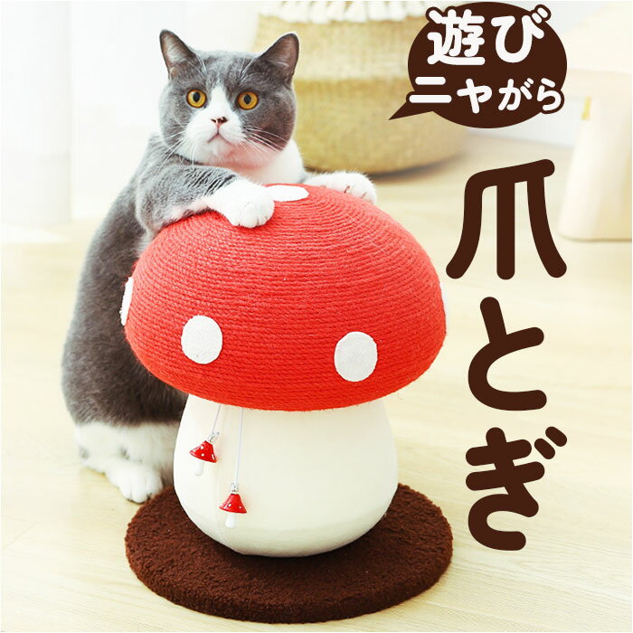 猫 爪とぎ 爪研ぎ 楽天 爪とぎ用品 爪ケア 猫用爪とぎ つめとぎ 猫用品 爪ケア用品 ペット 爪 お手入れ ネコ ねこ かわいい デザイン きのこ キノコ