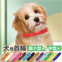 首輪犬 楽天 ペット 犬 いぬ イヌ 猫 ねこ ネコ 犬の首輪 犬用首輪 首輪 くびわ 革 レザー 皮 シンプル 無地 中型犬 小型犬 お出かけ 散歩 ベルト ...