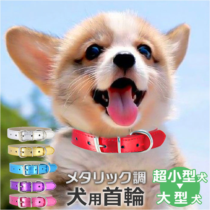 ペット 首輪 楽天 くびわ 犬 いぬ イヌ 猫 ねこ ネコ 犬用首輪 中型犬 小型犬 革 レザー 皮 反射 シンプル 無地 お出かけ 散歩 ベルト ペット用品 ペットグッズ おしゃれ オシャレ かわいい カワイイ ドッグ キャット