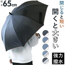 傘 メンズ 65 センチ 楽天 雨傘 紳士傘 耐風傘 ジャンプ傘 かさ アンブレラ グラスファイバー 丈夫 紳士 男性 長傘 パイピング おしゃれ オシャレ シンプル 無地 直径112cm かっこいい 雨具 レイングッズ 梅雨対策 通勤 通学 ギフト 誕生祝