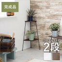 オープンラック 2段 楽天 コーナーラック デポシリーズ オープンシェルフ KR-3846 ディスプレイラック 収納棚 ディスプレイ 棚 デットスペース おしゃれ シンプル 見せる収納 幅25.5×奥行25.5×高さ55cm 収納家具 家具 インテリア