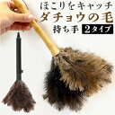 はたき おしゃれ 楽天 ハンディモップ 埃取り 車 毛ばたき 車用 ほこり取り ダチョウ ホコリとり ホコリ取り ほこりとり 掃除用品 掃除グッズ 掃除道具 生...