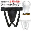 ファール カップ 格闘技 楽天 ファールカップサポーター 急所ガード ファールカップ ファウルカップ サポーター 防具 股間ガード テコンドー 空手 キックボク...