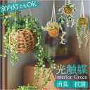 光触媒 フェイクグリーン 楽天 吊り下げ 人工観葉植物 ハンギング 観葉植物 ハンギングバスケット インテリアグリーン イミテーショングリーン 消臭 抗菌 防カ...