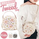 ミニショルダー 女の子 パーティーバッグ 楽天 ポシェット ショルダーバック フォーマルバッグ ショルダーバッグ パーティーバック ミニバッグ クラッチ ショル...