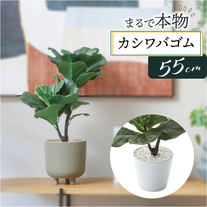 フェイクグリーン カシワバゴム 楽天 イミテーショングリーン 人工観葉植物 インテリアグリーン フェイク グリーン インテリアプランツ 人工樹木 ポット 鉢植え アーティフィシャルグリーン 人工植物 おしゃれ リビング 寝室 インテリア雑貨 GLA-1470