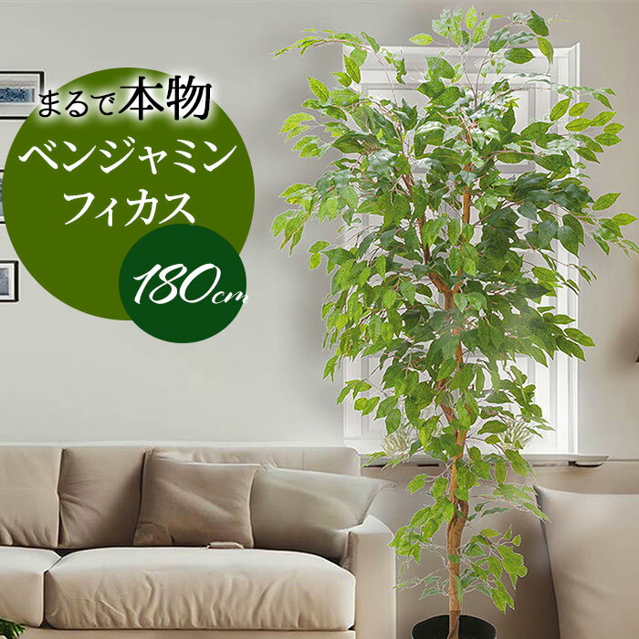 ベンジャミン フェイクグリーン 楽天 GLP-1290 人工観葉植物 観葉植物 ベンジャミンフィカス ...