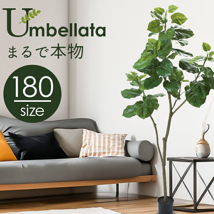 フェイクグリーン 木 楽天 GLP-1498 人工観葉植物 観葉植物 180cm ウンベラータ イン ...
