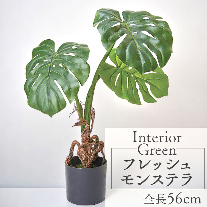 フェイクグリーン モンステラ 楽天 GLP-1514 人工観葉植物 観葉植物 フレッシュモンステラ  ...