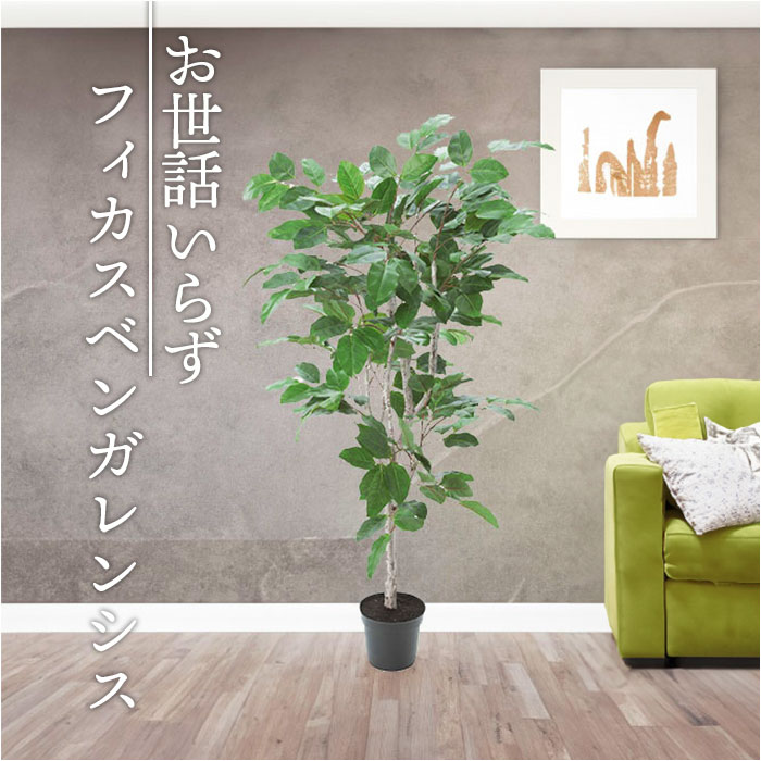 フェイクグリーン フィカスベンガレンシス 楽天 大型 人工観葉植物 インテリアグリーン フェイク グリーン イミテーショングリーン インテリアプランツ 人工樹木 ポット 鉢 アーティフィシャルグリーン 人工植物 おしゃれ リビング インテリア GLP-1517