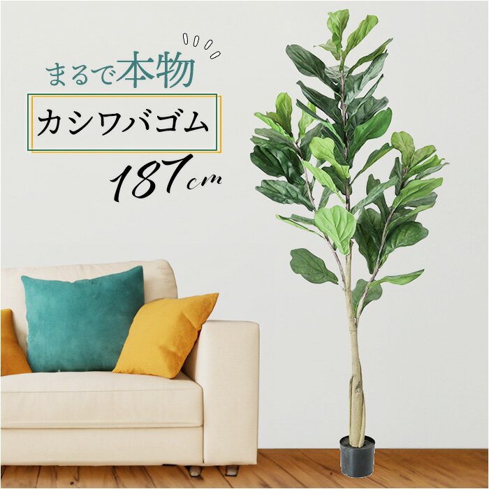 フェイクグリーン カシワバゴム 楽天 大型 人工観葉植物 インテリアグリーン フェイク グリーン イミテーショングリーン インテリアプランツ 人工樹木 ポット 鉢植え アーティフィシャルグリーン 人工植物 おしゃれ リビング インテリア雑貨 GLP-1546