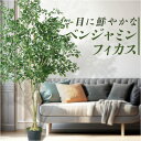 ベンジャミン フェイクグリーン 楽天 GLP-1549 人工観葉植物 観葉植物 250cm ベンジャミンフィカス インテリアグリーン 木 大型 ツリー インテリア 雑貨 おしゃれ 造花 大きい オシャレ ディスプレイ フェイク グリーン 事務所 店舗 オフィス