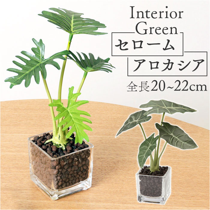 観葉植物 フェイク 小さい 楽天 人工観葉植物 アーティフィシャルグリーン インテリアグリーン フェイクグリーン 卓上 小さめ 小型 ミニ ガラス 鉢 ポット ガラスポット ガラス鉢 ガラス容器 鉢植え おしゃれ ギフト グラスポット ポピー YDM