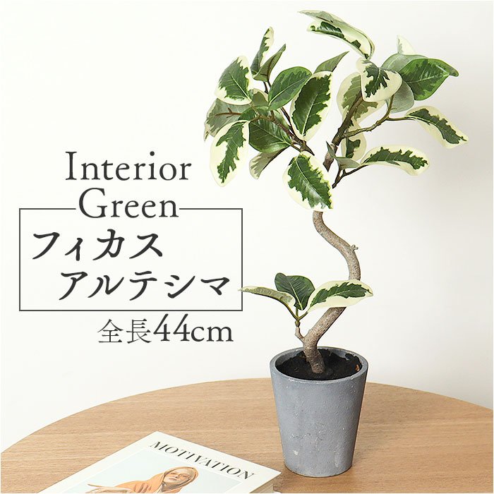 観葉植物 フェイク 大型 楽天 人工観葉植物 アーティフィシャルグリーン インテリアグリーン フェイクグリーン フィカスアルテシマ 大きめ 鉢植え ポット リビング オフィス ディスプレイ おしゃれ GLA-1524 フィカスアルテシマポット ポピー YDM