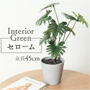 観葉植物 フェイク 大型 楽天 人工観葉植物 アーティフィシャルグリーン インテリアグリーン フェイクグリーン セローム 大きめ 鉢植え ポット 玄関 リビング オフィス 店舗 おしゃれ ギフト GLA-1562 セロームポット ポピー YDM