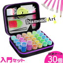 ダイヤモンドアート ツール 楽天 ビーズストレージ 30本 ダイヤモンドペインティング ダイアモンドアート ビーズ収納 ビーズ収納ケース ダイヤモンド絵画 ビー...
