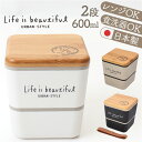 弁当箱 2段 楽天 スクエア 2段弁当箱 ランチボックス 日本製 600ml レンジ対応 食洗機対応 入れ子式 内蓋 もれにくい かわいい 可愛い シンプル コ...