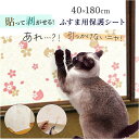 明和グラビア ツメ傷保護シート ふすま用 ペット 楽天 壁紙保護シート 保護シート リメイクシート 日本製 壁紙 襖 ふすま 襖用 貼ってはがせる はがせる キ...