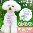 ハーネスリード 犬 かわいい 楽天 胴輪 首輪 ハーネスリードセット ハーネス&リード ハーネス リード付き リードセット レース 花 簡単装着 一体型 犬用 ...