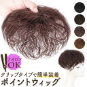 ウィッグ 部分 レディース 楽天 頭頂部ウィッグ 部分ウィッグ トップカバー かつら つけ毛 ポイントウィッグ エクステ ボリューム 白髪をカバー オシャレ 通...