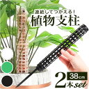 モスポール 2本セット 楽天 園芸支柱 植物支柱 ガーデニング 園芸用 支え 植物 支柱 観葉植物 モンステラ 園芸 ガーデニング用 サポート つる ガーデニン...