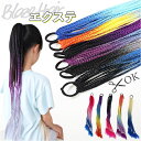ダンス エクステ 三つ編み 楽天 付け髪 つけ髪 カラーエクステ ヘアエクステ キッズ ブレイズエクステ 付け毛 つけ毛 エクステンション ブレイズ ゴム付き 子供 こども 子ども ダンス衣装 ヒップホップ ストリート つけげ キッズダンス衣装 ヘアアクセサリー