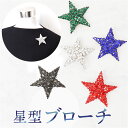 星型 ブローチ 楽天 ラインストーン アクセサリー ビジュー 星 スター 小さめ おしゃれ シンプル かわいい キラキラ 卒業式 入学式 卒園式 入園式 フォーマル ジャケット 女性 レディースアクセサリー レディースジュエリー