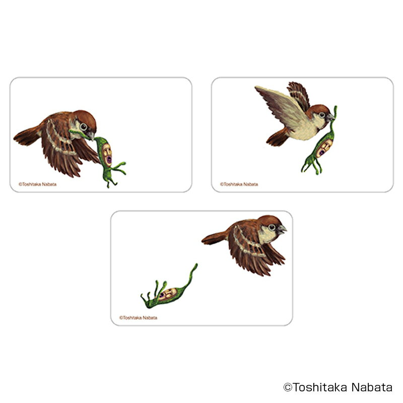 こびとづかん グッズ 楽天 4947864050955 クリアカード まじかる百貨店クリアカード こびとずかん こびとづかん03 スマホ裏 スマートフォン 透明...