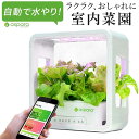 水耕栽培キット 楽天 屋内用水耕栽培キット 野菜栽培 家庭菜園 水耕栽培 自動水やり 室内菜園 自動調整 アプリ管理 野菜育成 植物育成 コンパクト設計 スタイッリシュ ミニチュアガーデン お洒落 野菜 ハーブ 花 aspara garden(アスパラガーデン)