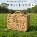 バスケット ピクニック 楽天 カゴバッグ ピクニックバスケット カゴバスケット Sサイズ ウォーターヒヤシンスバスケット トランク かご 籠 ウェルカムスペース フォトブース 撮影小物 おしゃれ かわいい シンプル 収納 結婚式 ギフト 贈り物