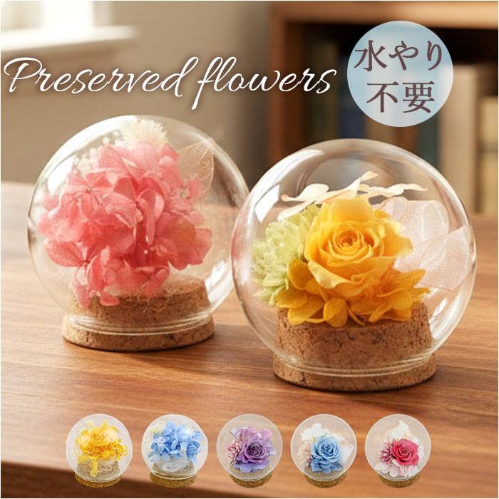 プリザーブドフラワー ガラスドーム 楽天 おしゃれ フラワーギフト 花 ブリザードフラワー ブリザーブドフラワー かわいい 贈り物 ギフト 結婚祝い 誕生日 結婚記念日 お祝い 還暦祝い 退職祝い 結婚式 女性 妻 還暦 米寿 古希 お供え 両親