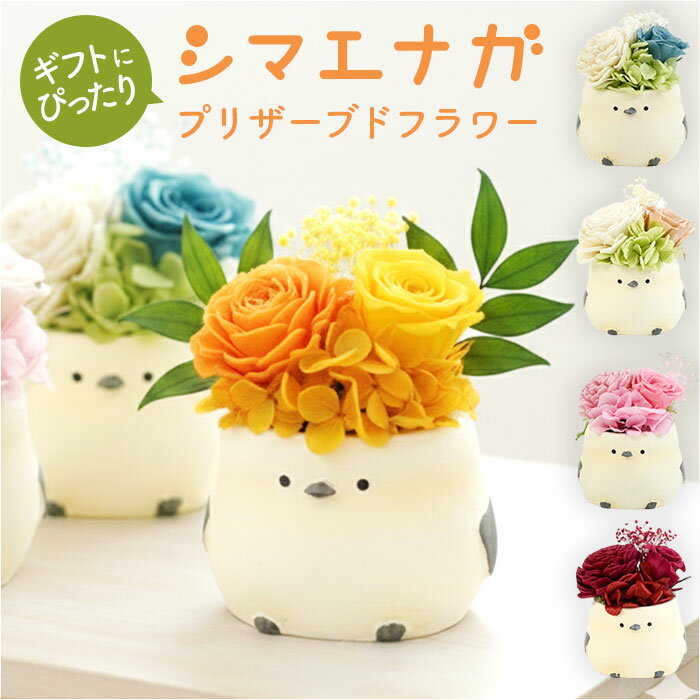 プリザーブドフラワー シマエナガ 楽天 シマエナガグッズ フラワーギフト 花 鳥 ブリザードフラワー ...