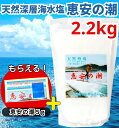 恵安の潮 2.2kg 送料無料 ミネラル 恵安の塩 天日塩 塩 けいあん けいあんの塩 けいあんの潮 天然塩 自然塩 ミネラル塩 結晶塩 海塩隊 慶安の塩 / おにぎり 焼肉 焼き魚 梅干し 漬物 ソルト おいしい塩