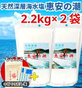 恵安の潮 2.2kg × 2袋セット お徳用パック ミネラル 恵安の塩 天日塩 塩 けいあん けいあんの塩 けいあんの潮 天然塩 自然塩 ミネラル塩 結晶塩 海塩隊 慶安の塩