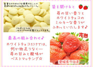 ★ホワイトチョコ＆苺★●白雪もち（8枚入り送料無料）●心こもった手作りすいーつ♪ホワイトチョコ＋苺♪ベルギー産チョコ100％愛媛県産の苺「紅ほっぺ」100％