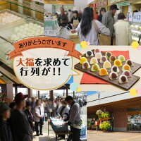 スイーツ和菓子お取り寄せ【送料無料】なめらか柔らかい「はくちょうもち」使用ソフト大福6個入(各90g)+クリーム大福6個入(各50g)お試しギフトセット!白、塩豆、よもぎ、赤、かぼちゃ、ごま、ハスカップ、メロン、ナイヤガラ、ストロベリー