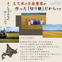 【送料無料】もちお取り寄せギフトなめらか柔らかい「はくちょうもち」使用1000円ポッキリ!北海道名寄市ふうれん産の切り餅(白)お試しパック9枚入り!【11月〜1月限定商品】白切りもち9枚入り450g【簡易包装ギフト・熨斗不可】
