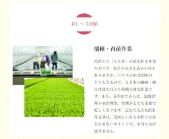 【送料無料】もちお取り寄せギフトなめらか柔らかい「はくちょうもち」使用1000円ポッキリ!北海道名寄市ふうれん産の切り餅(白)お試しパック9枚入り!【11月〜1月限定商品】白切りもち9枚入り450g【簡易包装ギフト・熨斗不可】
