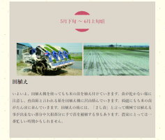 【送料無料】もちお取り寄せギフトなめらか柔らかい「はくちょうもち」使用1000円ポッキリ!北海道名寄市ふうれん産の切り餅(白)お試しパック9枚入り!【11月中旬〜12月下旬限定商品】白切りもち9枚入り500g【簡易包装ギフト・熨斗不可】