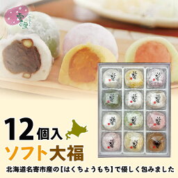 大福 あんこ 送料無料 ソフト大福12個入 塩豆、よもぎ、白、赤、かぼちゃ、ごま、メロン、ミルク、巨峰、玄米、とちおとめ苺、黒糖きな粉（各90g）大福餅 大福 風連 もち 名寄 ふうれん 和菓子 ギフト スイーツ