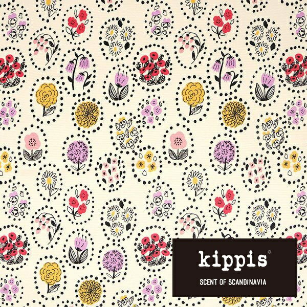 kippis Ƥβ å/50cmʬ