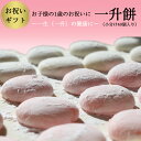 【送料無料】一升餅(小分け)