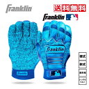 送料無料 野球 ソフトボール バッティンググローブ 220373 ブルー Franklin フランクリン 25MLB Father'sDay 父の日モデル バッティング手袋 打撃用手袋 一般 大人 MLB