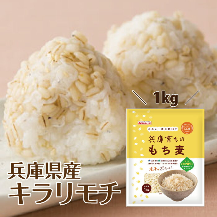 ʼ˸  1kg  ޥʥ     ʪ