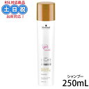 シュワルツコフ BCクア カラースペシフィーク シャンプー 250mL サロン専売 美容室 サロン専売品 美容院 ヘアケア おすすめ品ヘアケア 在庫限り 在庫処分