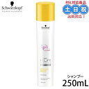 シュワルツコフ BCクア カラーセーブ シャンプー 250ml シャンプー 美容室専売 美容院 サロン専売品 カラーケア ヘアケア シャンプー 小さい