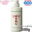 資生堂 ヘアキッチン トリートメント モイスチャライジングトリートメント 500g ヘアトリートメント 頭皮ケア しっとり まとまる 乾燥 髪 頭皮ケア 美容室専売 サロン専売 サロン専売品 美容室 美容院 ヘアケア 在庫限り