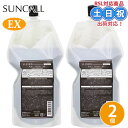 サンコール R-21 エクストラ シャンプー 700mL ×2個 セット R21 EX シャンプー アミノ酸 エイジングケアシャンプー詰め替え 詰替え 白髪 抜け毛 頭皮ケア 美容室専売 サロン専売品