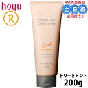 ホーユー プロマスター カラーケア リッチ ヘアトリートメント 200g サロン トリートメント インバスタイプ 流す 洗い流す ヒアルロン酸 乾燥 保湿 サロン専売品 美容室専売 美容室 美容院 ダメージケア ヒアルロン酸 ヘアケア